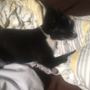 Meet your Posher, Sonia